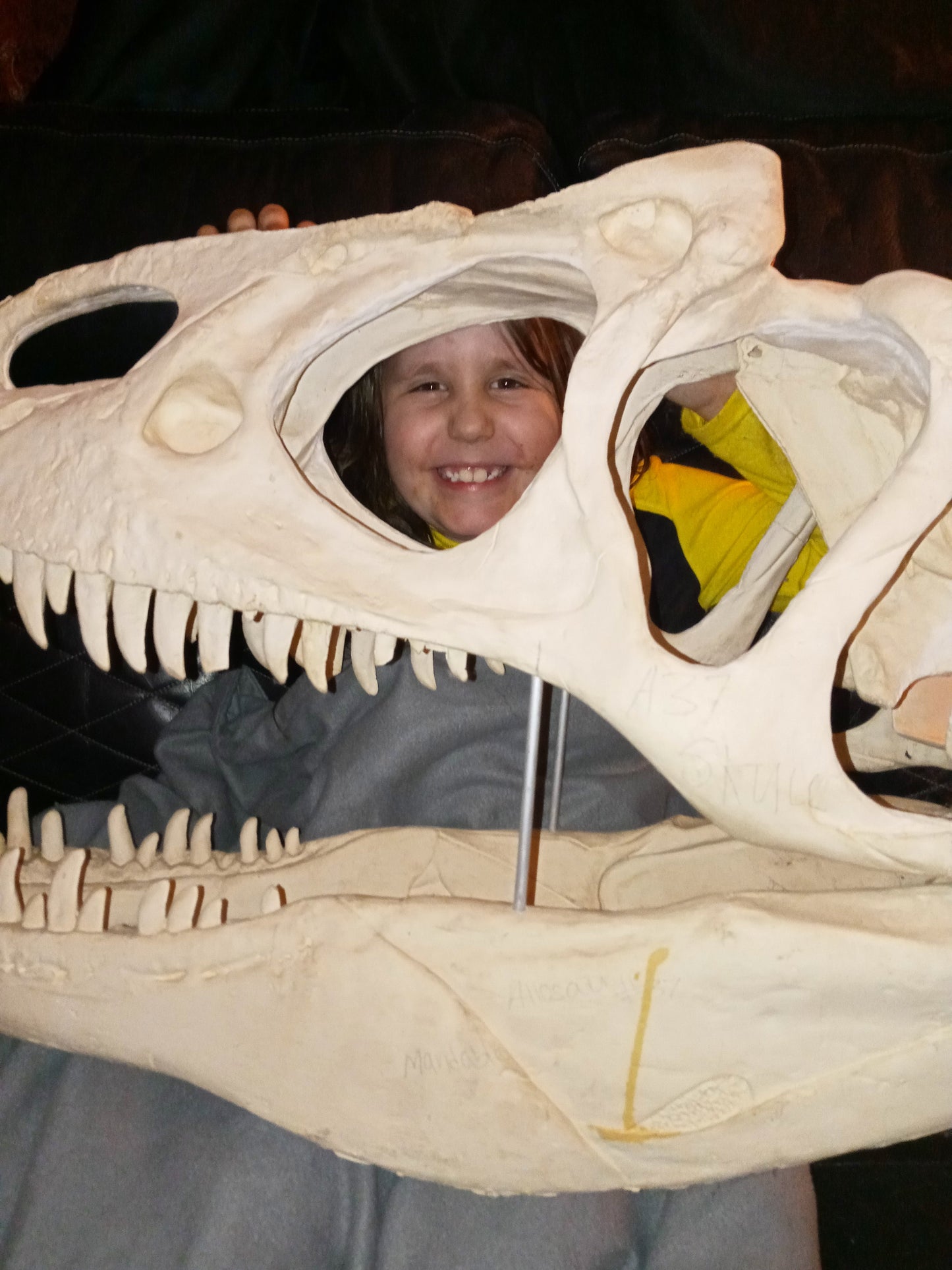 Allosaurus skull (unpainted / untrimmed)