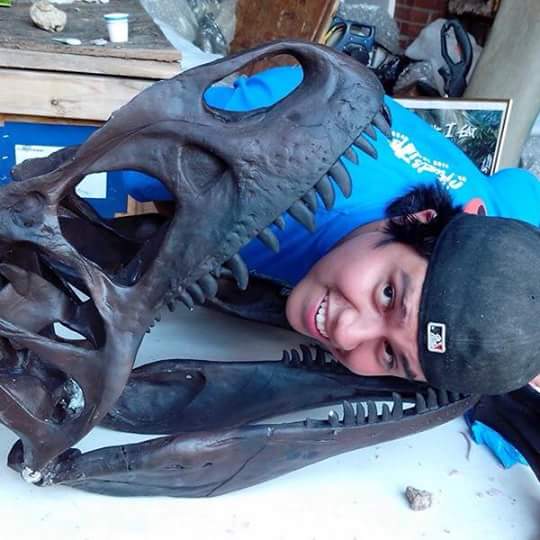Allosaurus: Juvenile Allosaurus skull cast replica