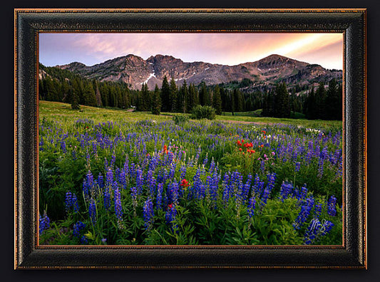 Albion Basin Landscape Photo Art by Mickey Shannon