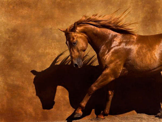 Adobe Dancer by Robert Dawson