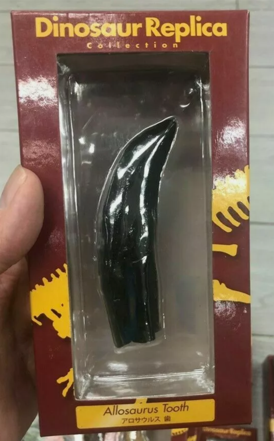 Allosaurus: Japan Allosaurus Dinosaur Fossil Tooth cast replica figure 10cm