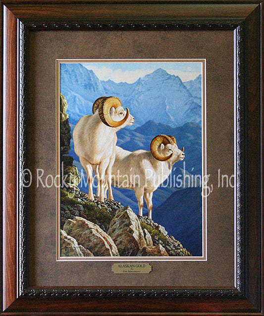 Alaskan Gold ¨C Framed Print by Tom Mansanarez