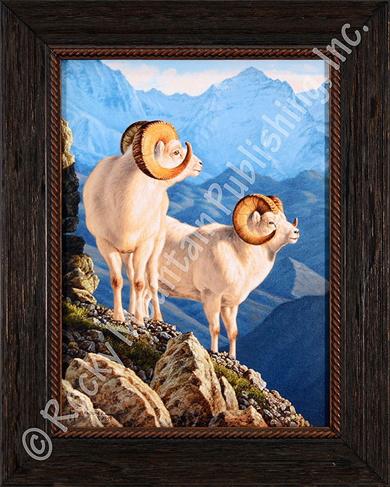 Alaskan Gold ¨C Framed Print by Tom Mansanarez